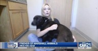 Paws to Care: Cheddar needs his forever home