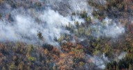 Lake George wildfire ‘under control’: N.S. DNR