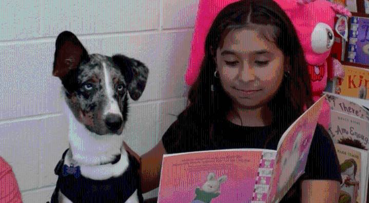 Therapy dog joins Harlingen CISD counseling team
