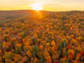 2,000-plus acres of land in WMass will be preserved