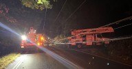 Three teens found dead at the scene of Francestown crash