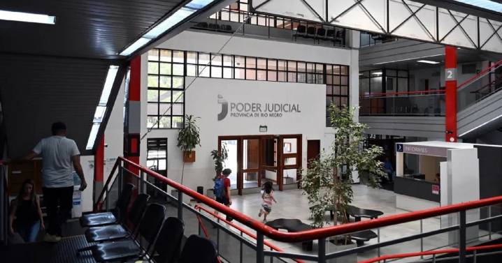 El STJ busca frenar el uso de inteligencia artificial de los abogados de Río Negro en sus demandas