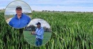 Why you should call your contractors now, this harvest season
