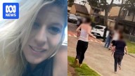 Four teenagers plead guilty to manslaughter over deadly Warrawong brawl