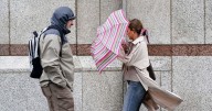 'Strong winds' up to 55mph forecast as Met Office warns of disruption and damage