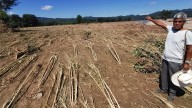 Desbordamiento del río en Huautla deja pérdidas en más de 40 hectáreas de sembradíos