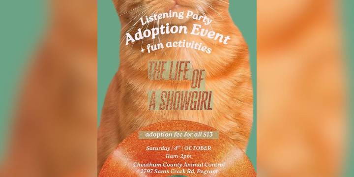 TN animal shelter hosting listening party, adoption event to celebrate Taylor Swift’s new album