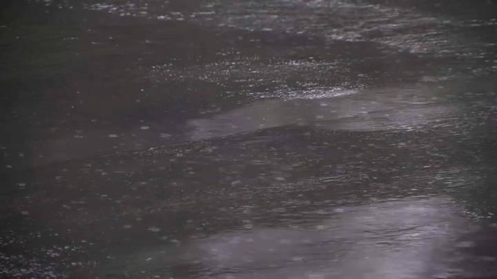 Emiten avisos de inundación en los condados de Alameda, Contra Costa, Santa Clara y Santa Cruz