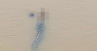 Horror moment crocodile drags woman down river after snatching her as she bathed