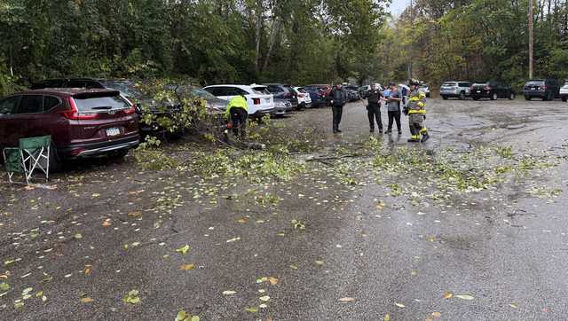 Fallen tree brings down power lines, traps 1 person at Evans Field in South Park