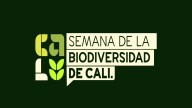 Semana de la Biodiversidad en Cali reunió a más de 334.000 personas y dejó un legado ambiental