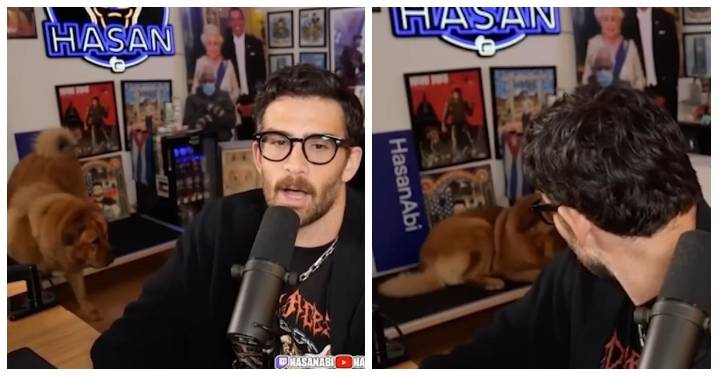 Streamer Hasan Piker Accused of Using Shock Collar on His Dog to Keep Her in Frame
