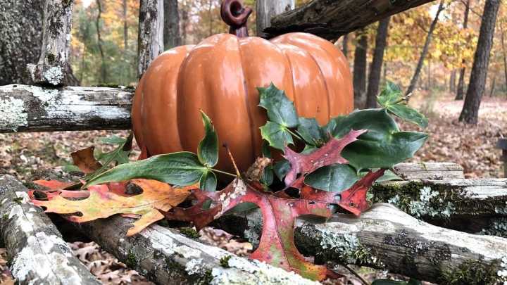 What to know about Halloween events, fall festivals in Tri