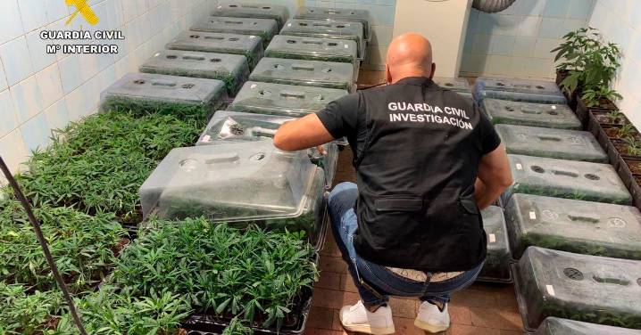 La Guardia Civil pone a disposición judicial a cuatro personas tras un operativo contra el fraude eléctrico y el tráfico de drogas en Loja