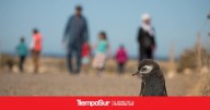 Propuesta Chubut: finde largo con descuentos y escapadas de Primavera
