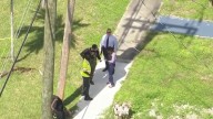 Dog shot after trying to attack deputy in Lauderdale Lakes