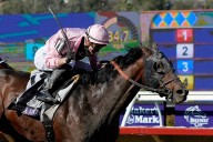 Breeders’ Cup Classic odds, horse-by-horse analysis by handicapper