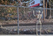 Some people are dying to get into the new West Roxbury Trader Joe's