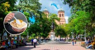 El puesto callejero en Medellín que ofrece almuerzos desde $5 mil, buenos, bonitos y sabrosos