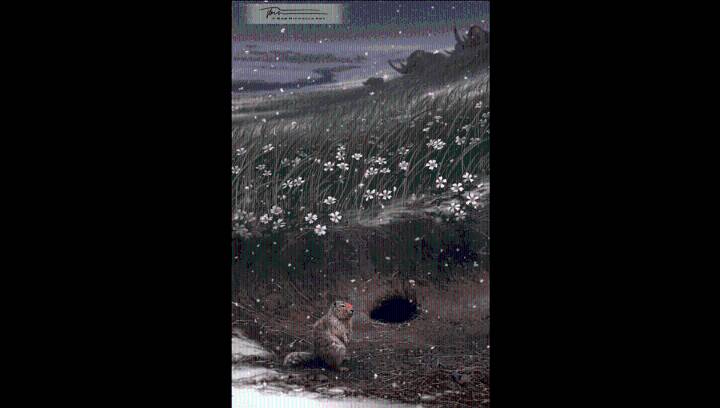 The Ice Age Squirrel That Enabled A Plant’s Resurrection 31,800 Years Later