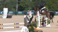 Traverse City Horse Shows achieves record-breaking attendance in 2025