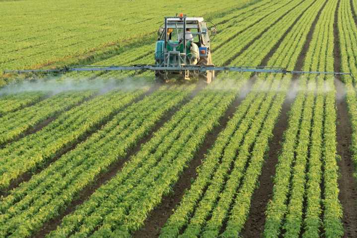 Agroalimentario | El peso del sector agroalimentario en la Región: el campo aporta el 4,3% del valor añadido a la economía