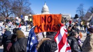 'No Kings' Protest Organizers Aren't Scared of Trump, GOP
