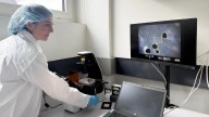 Biocomputadoras: el futuro de la tecnología con células vivas