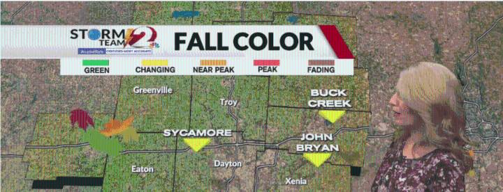 Perfect fall day for pumpkin picking...How warm will it get?