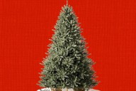Best Balsam Hill deal: Blue Spruce tree is 50% for Amazon Prime Day