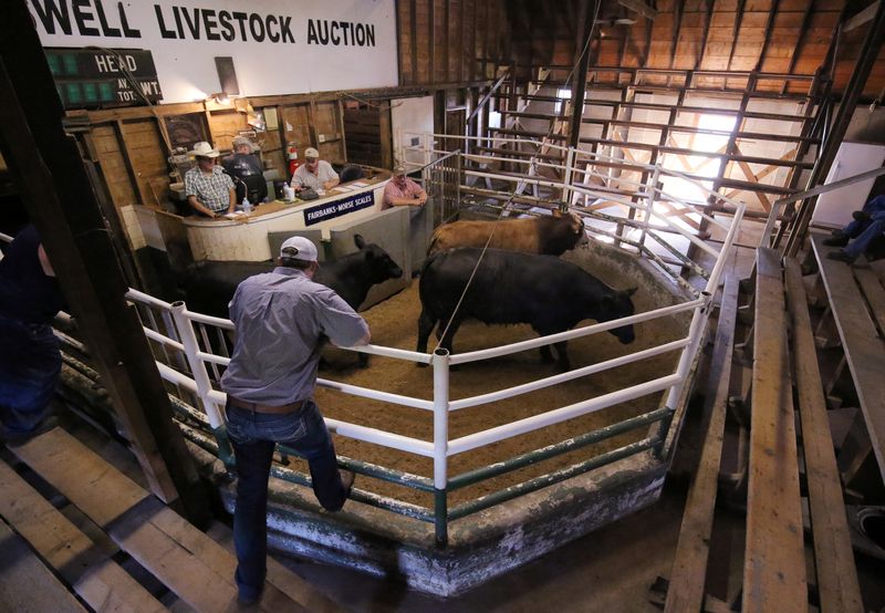 Trump urges US cattle ranchers to lower prices as he touts tariffs