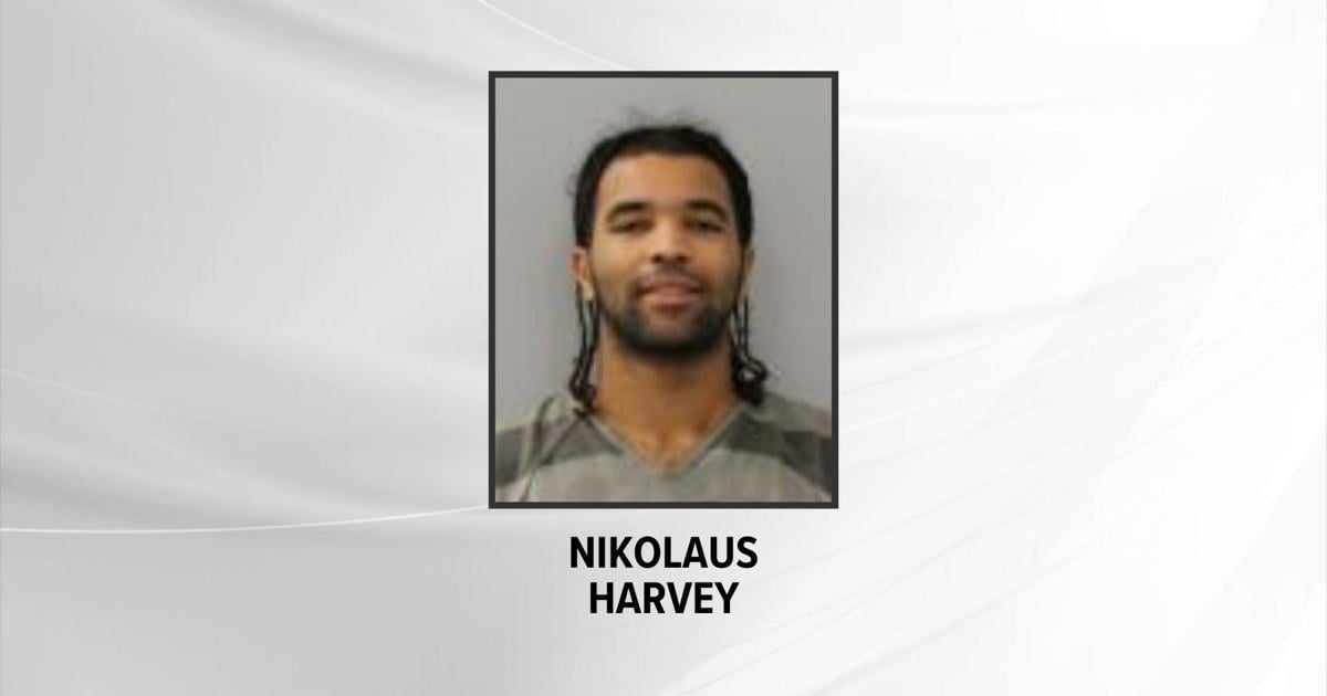 Columbia man accused of trying to hire hitman for detective