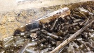 Ataque ruso destruye más de 200.000 botellas de brandy en destilería ucraniana