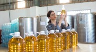 Extremadura destina 28 M€ en ayudas para modernización del sector agroalimentario