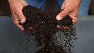 DSNY to open compost giveaway site in Queens