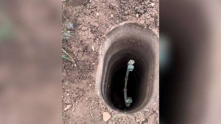 New York Wildlife Team Investigates Strange Sounds From A Well And Saves A Frightened Creature