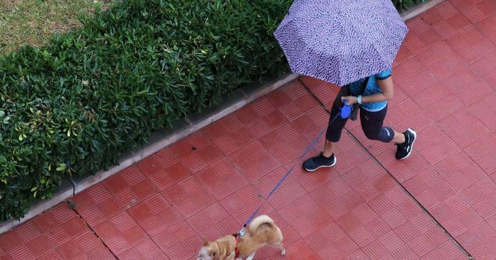 Nuevo aviso amarillo por lluvias de la Aemet en Málaga en la última semana de octubre