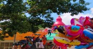 Preparations Underway for Diwali at Tripureswari Temple