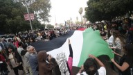 Miles de personas se manifiestan en Palma en apoyo al pueblo palestino: "El alto al fuego no es paz"
