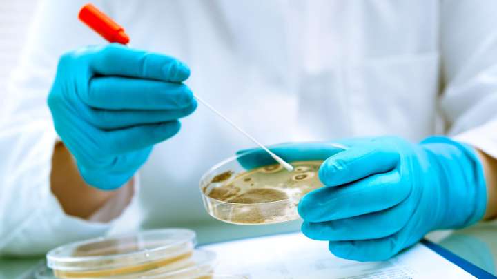 Consumo alerta de un lote de queso de cabra con listeria y E.coli de la marca 'Suerte Ampanera'