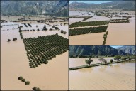 Devastación en la Vega de Metztitlán por las lluvias: se pierden cerca de 6 mil hectáreas de cultuvo (video)