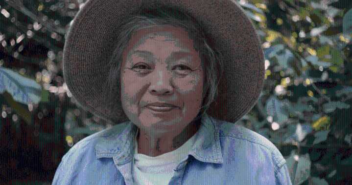 Local Farmer Known For Her Asian Pears Is Star Of Short Documentary