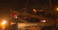 Thousands lose power in Durham, Orange counties; strong winds bring down trees overnight :: WRAL.com
