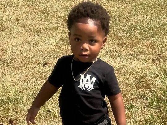 Boy, 2, killed by Rottweilers at daycare while owner napped