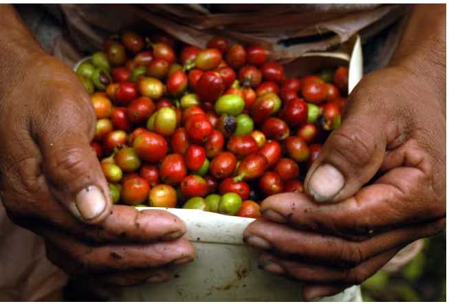 Las exportaciones colombianas cayeron ligeramente en agosto