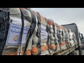 Aid chief reacts to reports of Israel curtailing Gaza aid over return of hostages' bodies