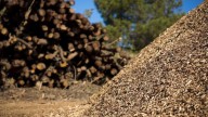 Medio Ambiente autoriza la planta de biomasa para la red de calor de León
