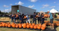 Pumpkin patches to visit this season across the Coastal Bend