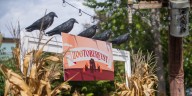 Zootoberfest kicks off Saturday at Saint Louis Zoo