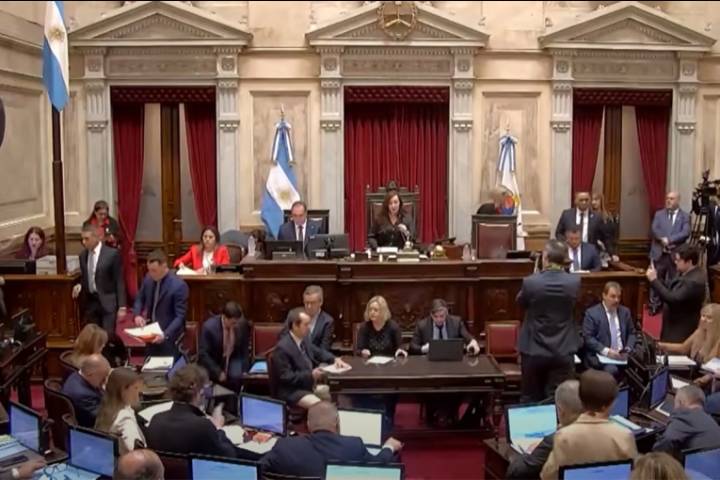 Senado logró el quórum y debate los vetos al Garrahan y universidades